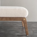 RECLINING CHAIR_V045