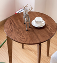 COFFEE TABLE_V025