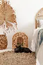 PET HOUSE_RHA027