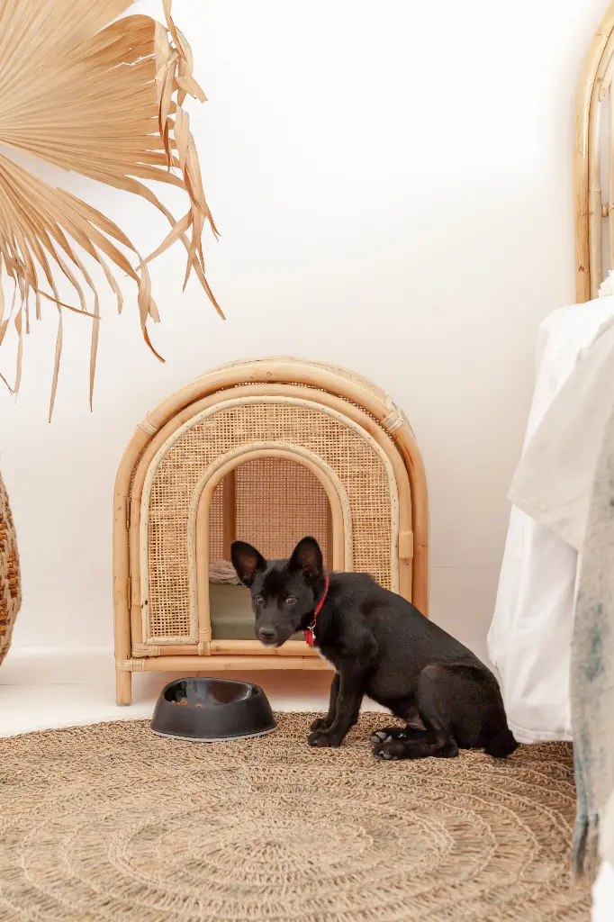PET HOUSE_RHA027