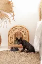 PET HOUSE_RHA027