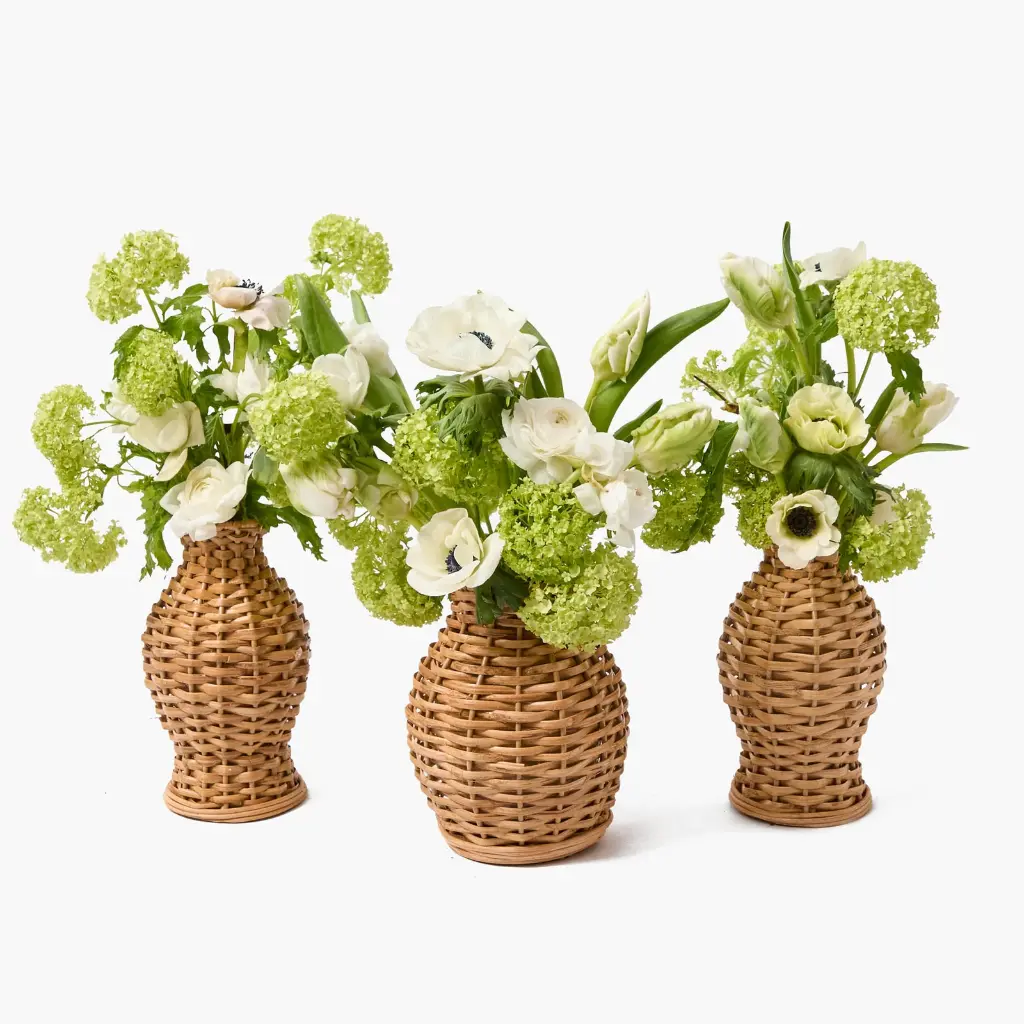 VASE_ATN008