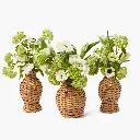 VASE_ATN008