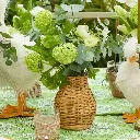 VASE_ATN004