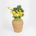 VASE_ATN009
