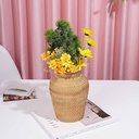 VASE_ATN009