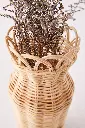 VASE_ATN006