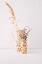 VASE_ATN006