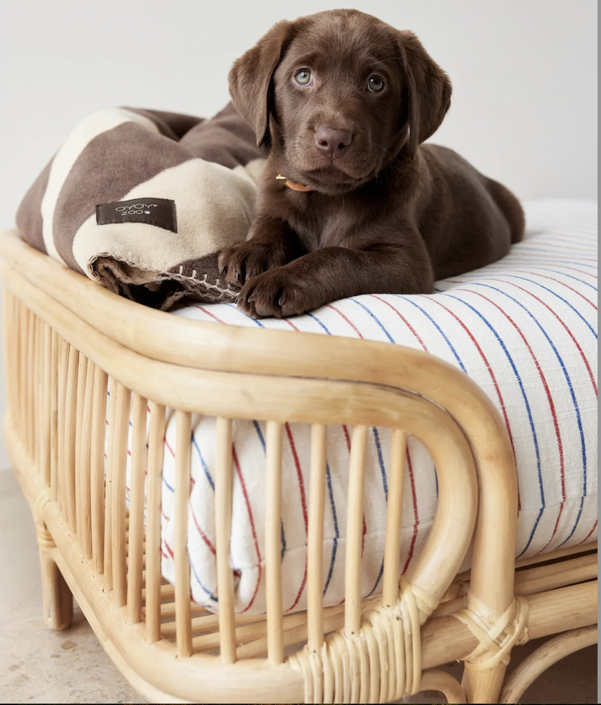 PET BED_RHA028