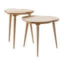 COFFEE TABLE_V077