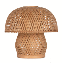 LAMPSHADE_B3006R2N2828