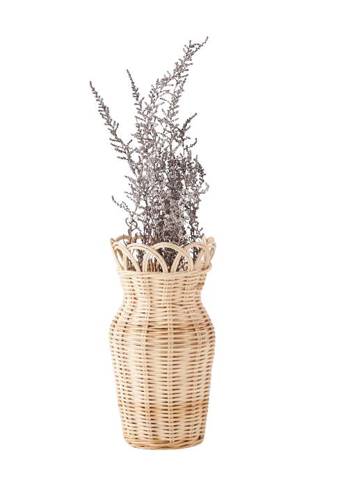VASE_ATN006