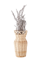 VASE_ATN006