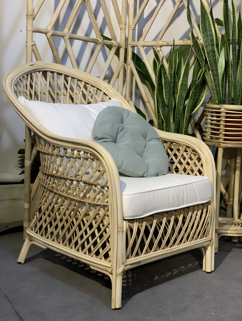 CHAIR_CSO50