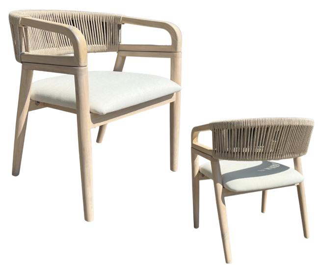 DINING CHAIR_CH250060