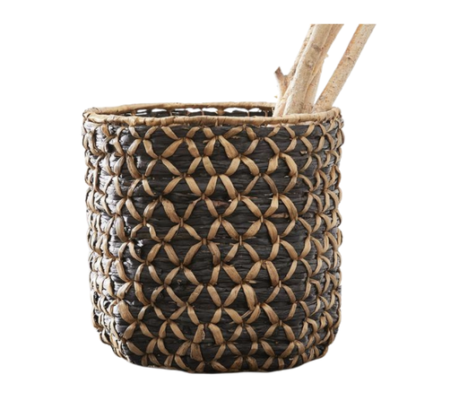 BASKET_TG009
