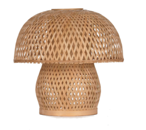 LAMPSHADE_B3006R2N2828