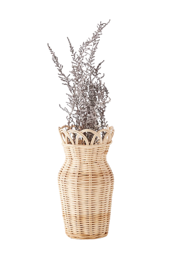 VASE_ATN006